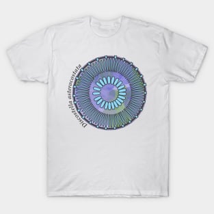 Diatom - Discostella asterocostata (scientific) T-Shirt